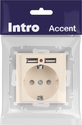Розетка INTRO Accent 6-410-02 / Б0063692