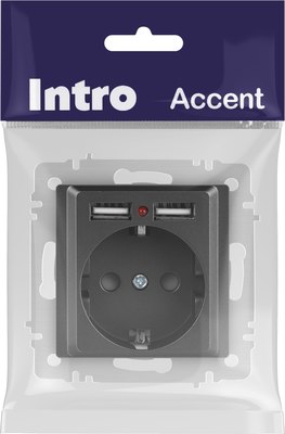 Розетка INTRO Accent 6-410-07 / Б0063702