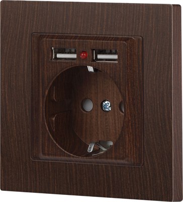 Розетка INTRO Accent 6-410-10 / Б0063717