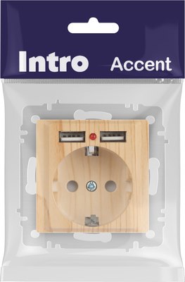 Розетка INTRO Accent 6-410-11 / Б0063720