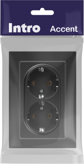 Розетка INTRO Accent 6-205-07 / Б0063496