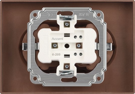 Розетка INTRO Accent 6-205-08 / Б0063498