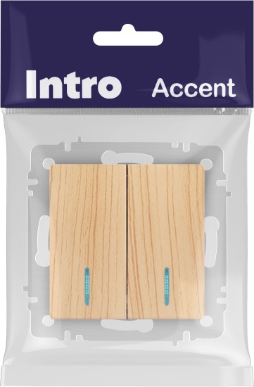 Выключатель INTRO Accent 6-105-11 / Б0063529