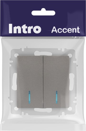 Выключатель INTRO Accent 6-105-09 / Б0063525