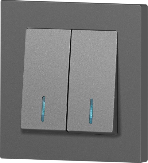 Выключатель INTRO Accent 6-105-07 / Б0063521