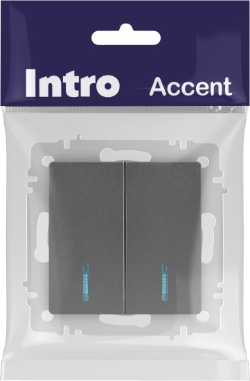 Выключатель INTRO Accent 6-105-07 / Б0063521