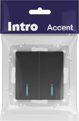 Выключатель INTRO Accent 6-105-05 / Б0063516