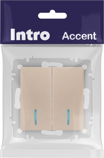 Выключатель INTRO Accent 6-105-04 / Б0063513