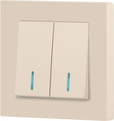 Выключатель INTRO Accent 6-105-02 / Б0063509