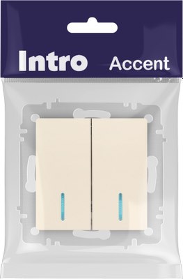 Выключатель INTRO Accent 6-105-02 / Б0063509