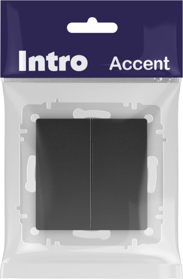 Выключатель INTRO Accent 6-104-05 / Б0063488