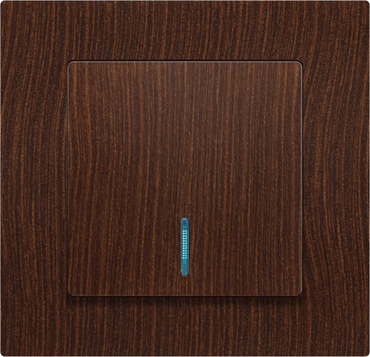 Выключатель INTRO Accent 6-102-10 / Б0063449