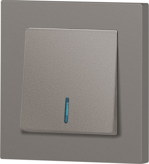 Выключатель INTRO Accent 6-102-09 / Б0063460