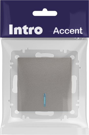 Выключатель INTRO Accent 6-102-09 / Б0063460