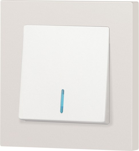 Выключатель INTRO Accent 6-102-06 / Б0063467