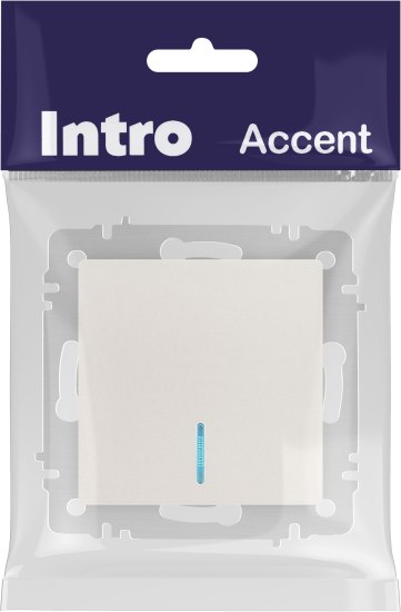 Выключатель INTRO Accent 6-102-06 / Б0063467