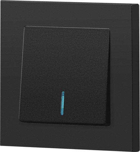 Выключатель INTRO Accent 6-102-05 / Б0063431