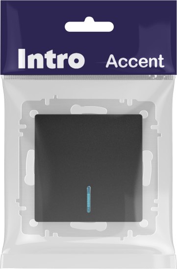 Выключатель INTRO Accent 6-102-05 / Б0063431