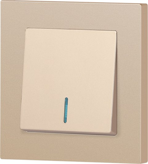 Выключатель INTRO Accent 6-102-04 / Б0063475