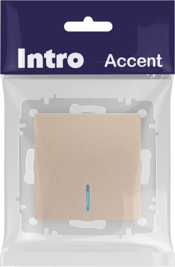 Выключатель INTRO Accent 6-102-04 / Б0063475