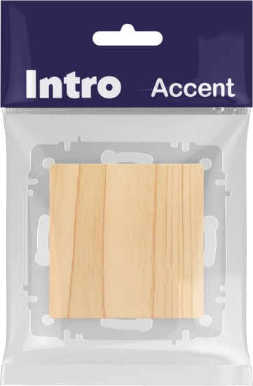 Выключатель INTRO Accent 6-101-11 / Б0063426