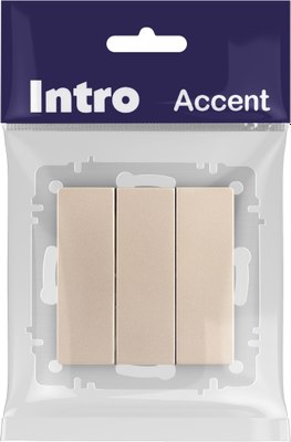 Выключатель INTRO Accent 6-106-04 / Б0063538