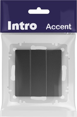 Выключатель INTRO Accent 6-106-05 / Б0063540