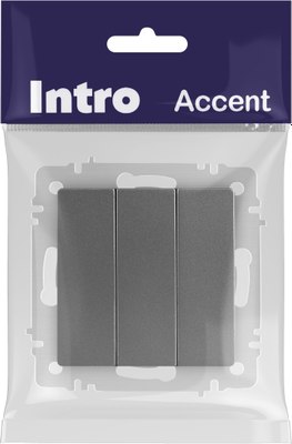 Выключатель INTRO Accent 6-106-07 / Б0063544