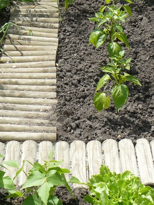 Изгородь декоративная Массив-Древ Рольборд D70x500x2500