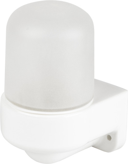 Светильник ЖКХ ЭРА НББ 02-60-003 / Б0064016 - фото