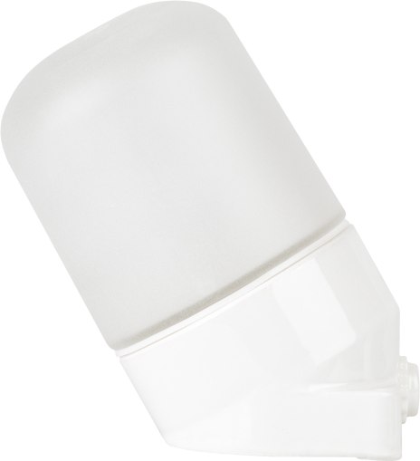 Светильник ЖКХ ЭРА НББ 02-60-002 / Б0064018