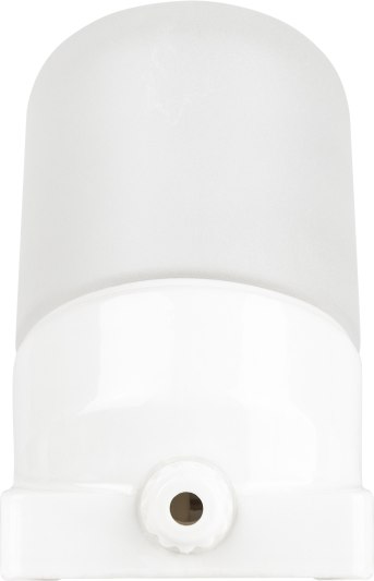 Светильник ЖКХ ЭРА НББ 02-60-002 / Б0064018