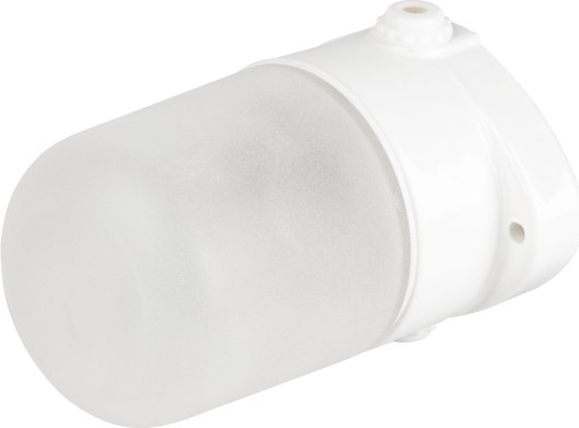 Светильник ЖКХ ЭРА НББ 02-60-001 / Б0064005 - фото