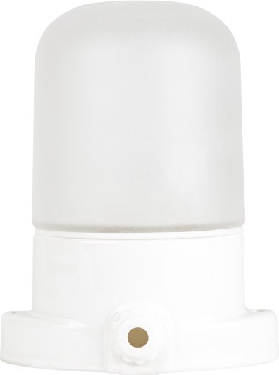 Светильник ЖКХ ЭРА НББ 02-60-001 / Б0064005