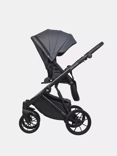 Детская универсальная коляска Riko Montana Ecco 3 в 1