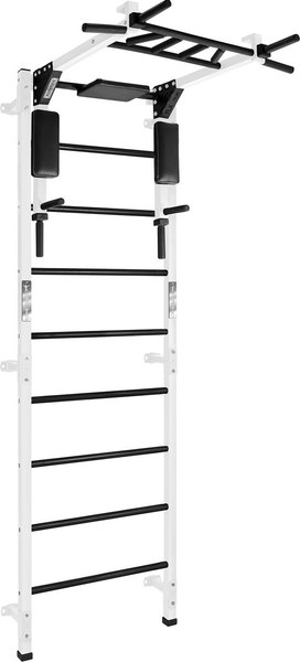 Детский спортивный комплекс Формула здоровья Forman Flexter Profi / ШСТБF0.12-FLX P (белый/черный) - фото