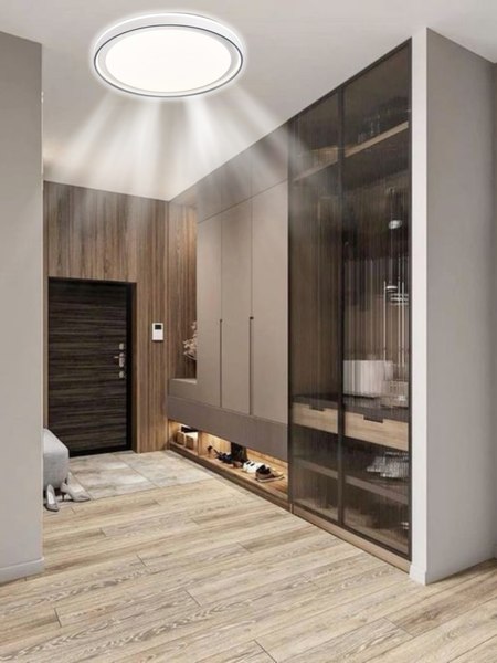 Потолочный светильник Aitin-Pro HY61151