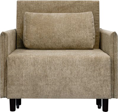 Кресло-кровать Домовой Визит-3 1 (80)