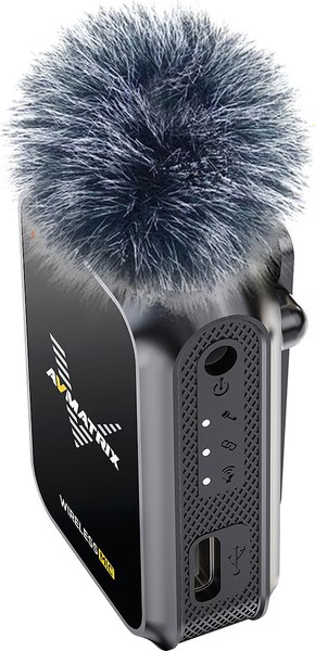 Радиосистема микрофонная Avmatrix WM12 Dual / 31641 - фото