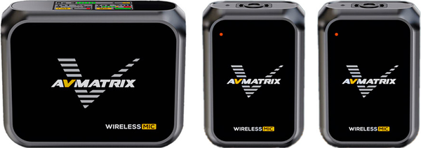 Радиосистема микрофонная Avmatrix WM12 Dual / 31641