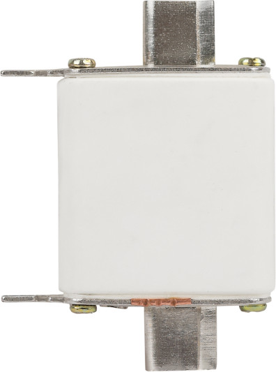 Предохранитель плавкий ЭРА Pro ppn-33-00-40 ППН-33 / Б0064026 - фото