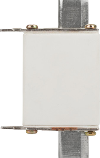 Предохранитель плавкий ЭРА Pro ppn-33-00С-100 ППН-33 / Б0063953 - фото