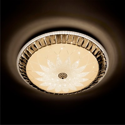 Потолочный светильник LED4U 1159/400 CR - фото