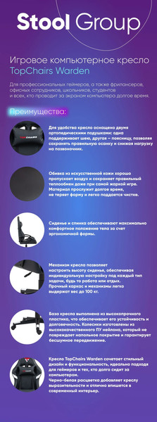 Кресло геймерское TopChairs Warden GF-8066-5