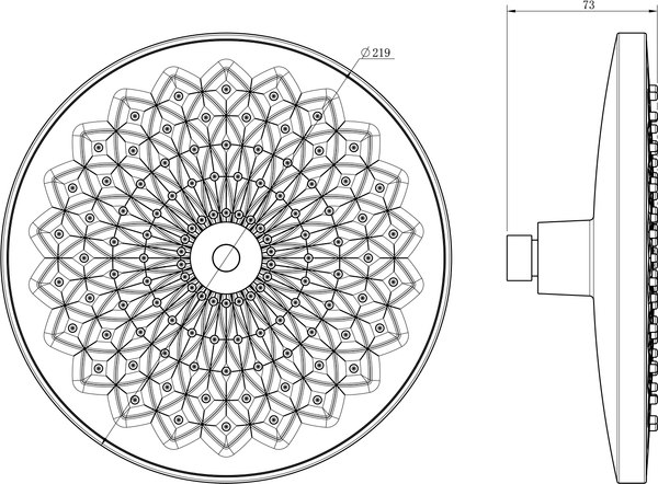 Верхний душ Lauter Iris 21S20080