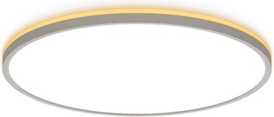 Потолочный светильник Citilux Norma CL748500