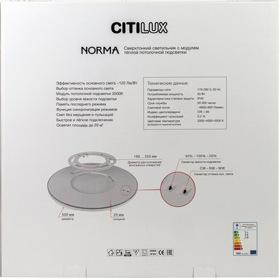 Потолочный светильник Citilux Norma CL748500