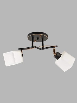 Спот Aitin-Pro НПБ 02-2x60-101 / 1338/2 - фото