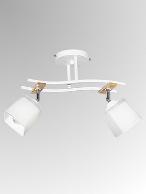 Спот Aitin-Pro НПБ 02-2x60-101 / XA1586/2 - фото