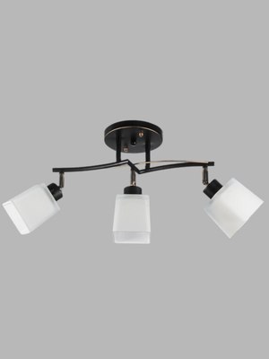 Спот Aitin-Pro НПБ 02-3x60-101 / 1338/3 - фото